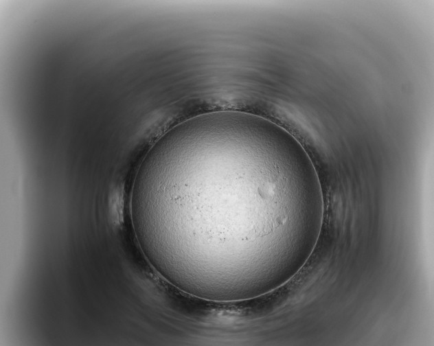 X0000093430694200710191027