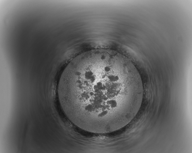 X0000093430695200710191027