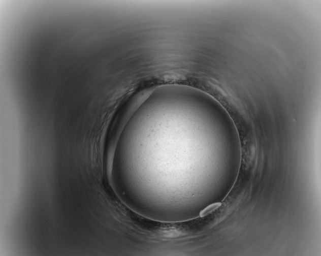 X0000093430704200710191026