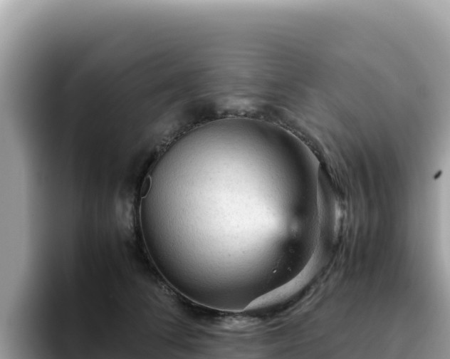 X0000093430708200710191026