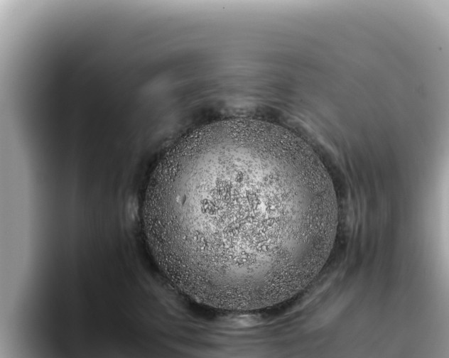 X0000093430711200710191026