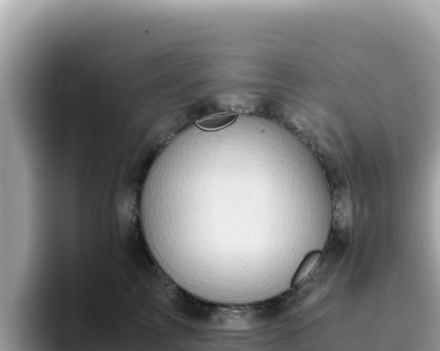 X0000093430713200710191026