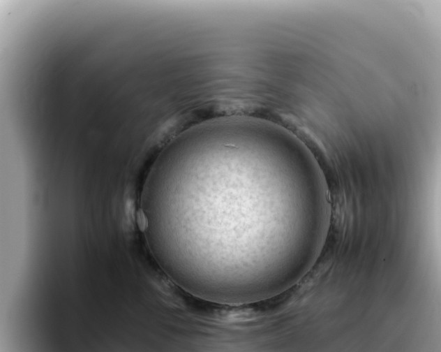 X0000093430716200710191026