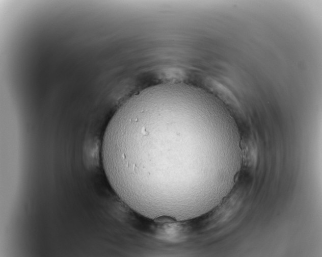 X0000093430717200710191026