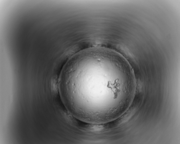 X0000093430719200710191026