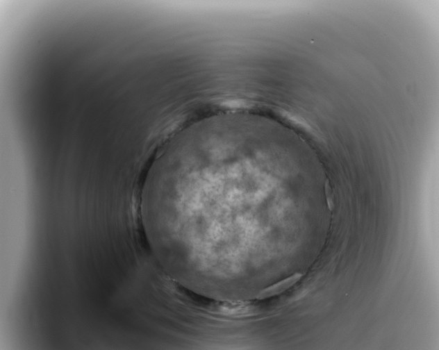 X0000093430720200710191026