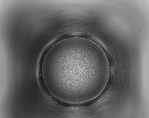 X0000093430724200710191026