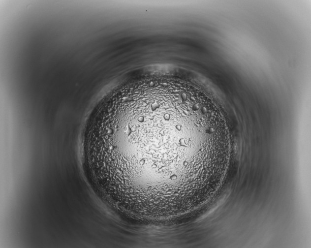 X0000093430725200710191026