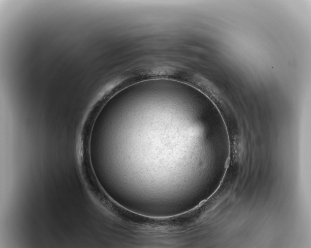 X0000093430726200710191026