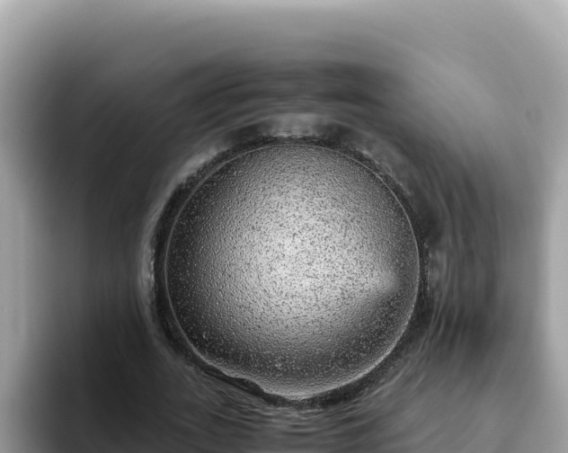 X0000093430727200710191026