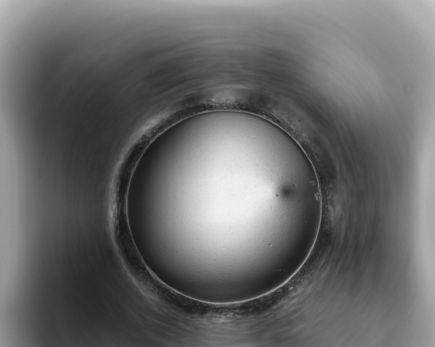 X0000093430728200710191026