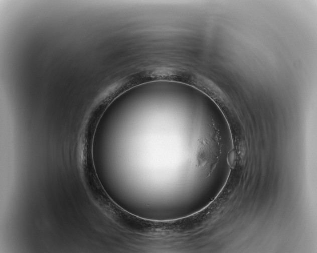 X0000093430732200710191026