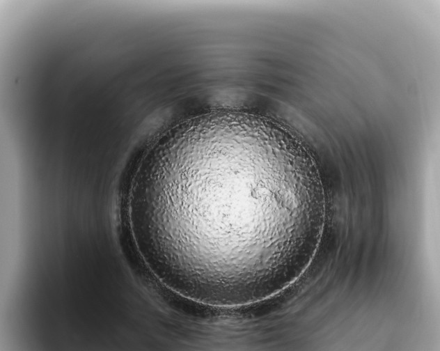 X0000093430738200710191026