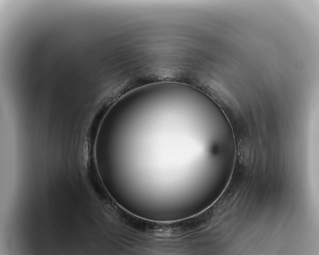 X0000093430740200710191026