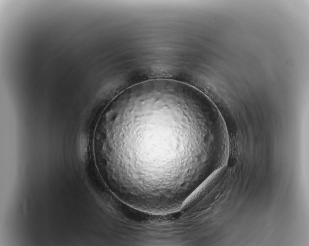 X0000093430742200710191026