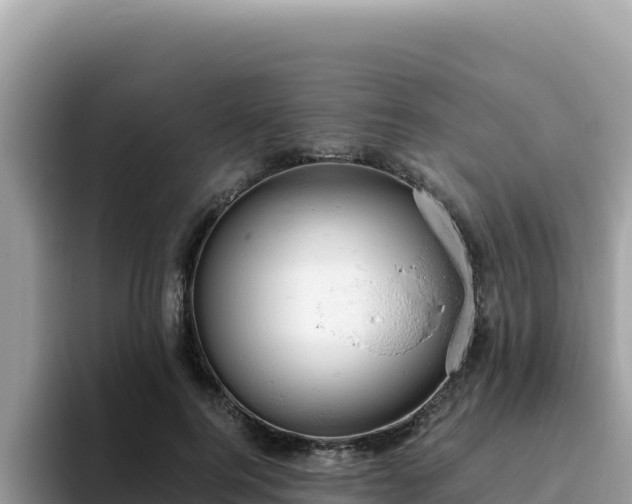 X0000093430744200710191026