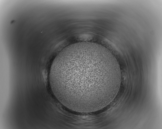 X0000093430745200710191026