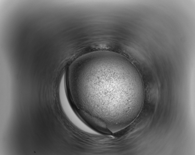 X0000093430747200710191026