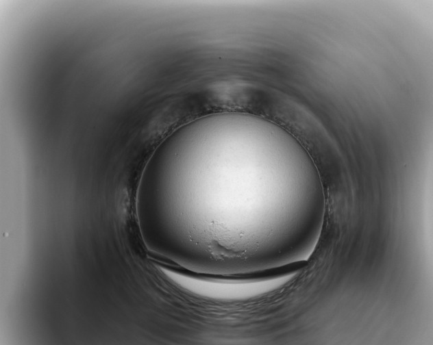 X0000093430752200710191026