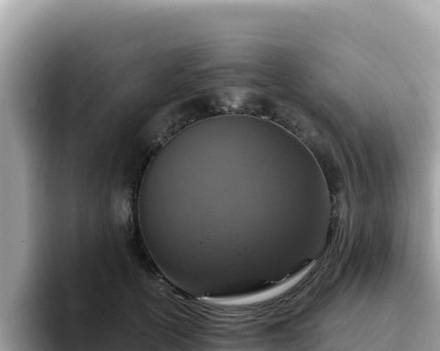 X0000093430754200710191026