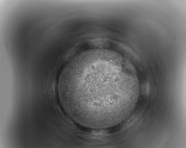 X0000093430757200710191026