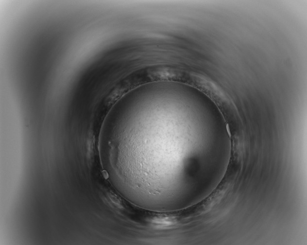 X0000093430760200710191026