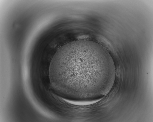 X0000093430763200710191026