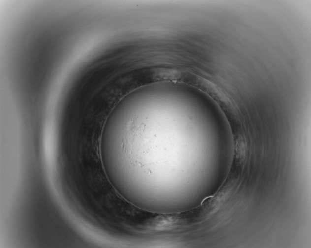 X0000093430764200710191026