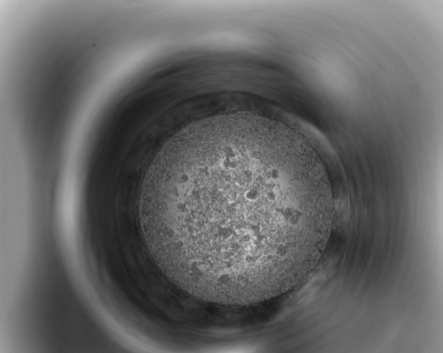X0000093430765200710191026