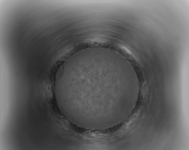 X0000093430774200710191026