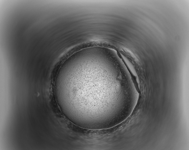 X0000093430776200710191026