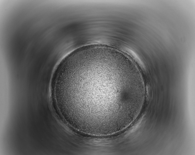 X0000093430780200710191025