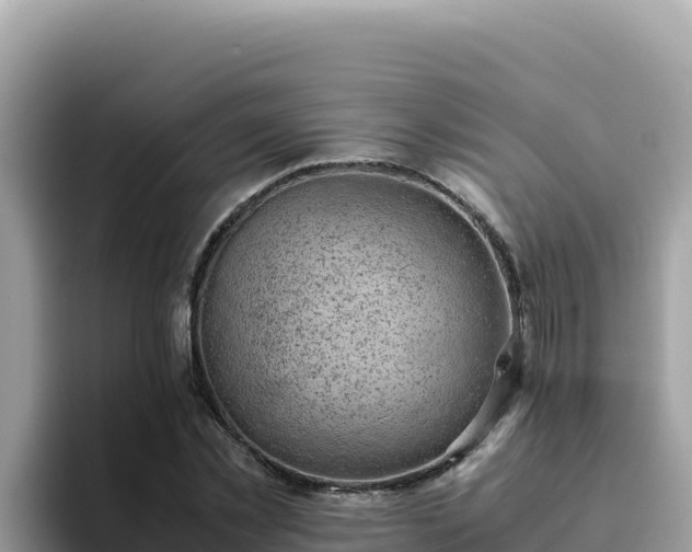 X0000093430781200710191025