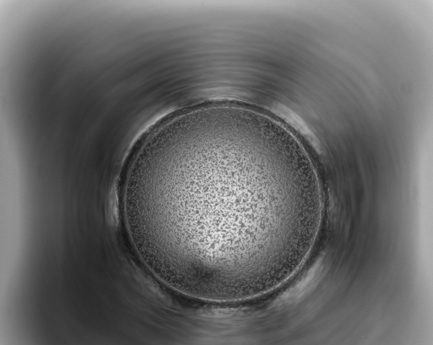 X0000093430782200710191025