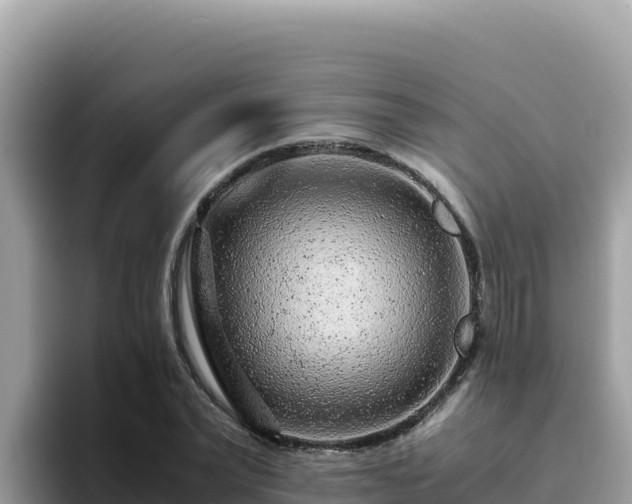 X0000093430783200710191025