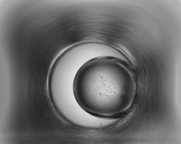 X0000093430788200710191025