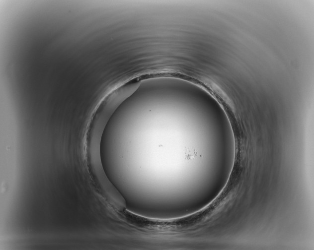 X0000093430789200710191025