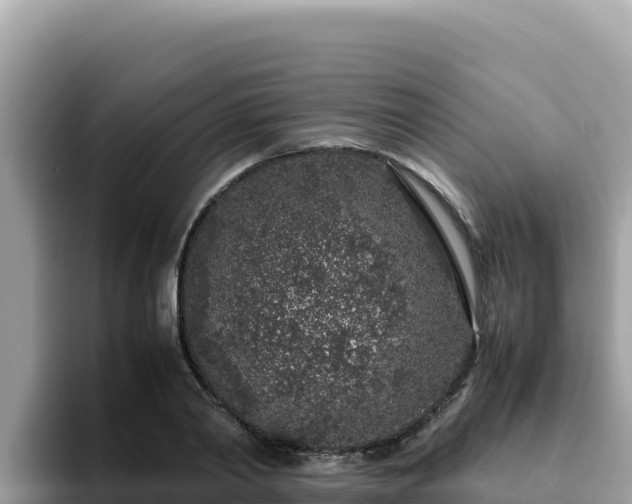 X0000093430790200710191025