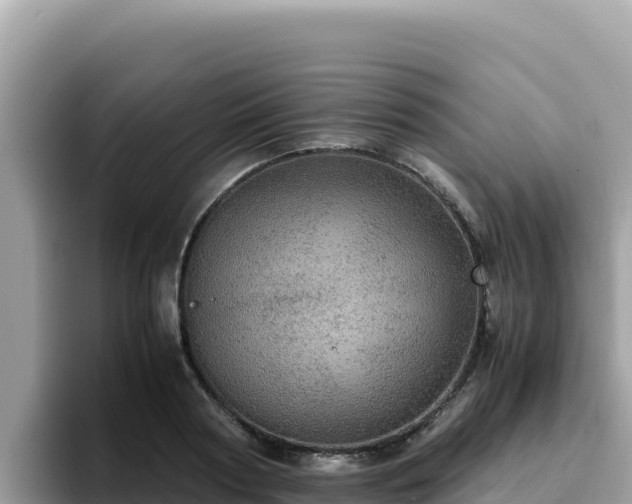 X0000093430794200710191025