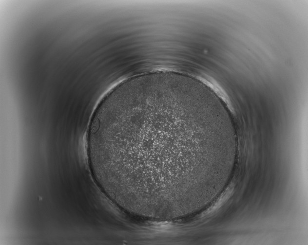 X0000093430798200710191025