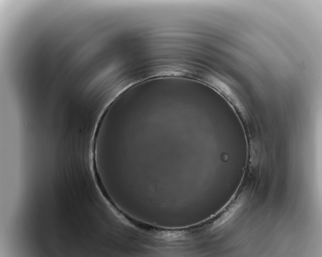 X0000093430802200710191025