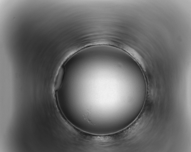 X0000093430805200710191025