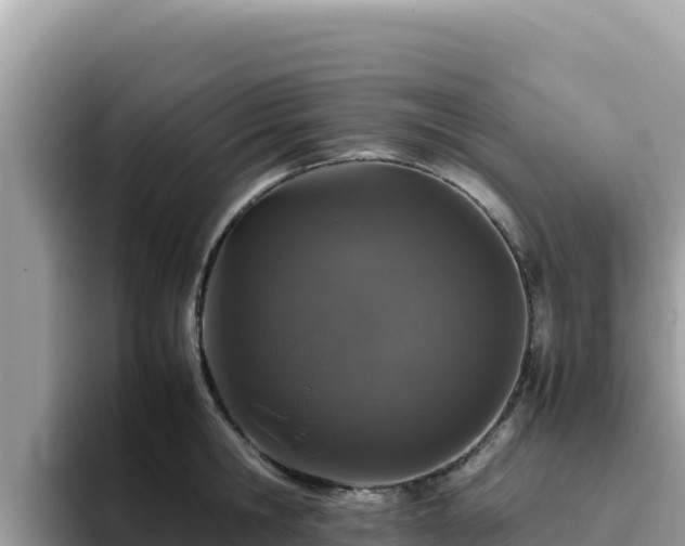 X0000093430806200710191025