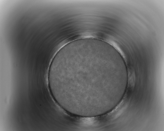 X0000093430810200710191025