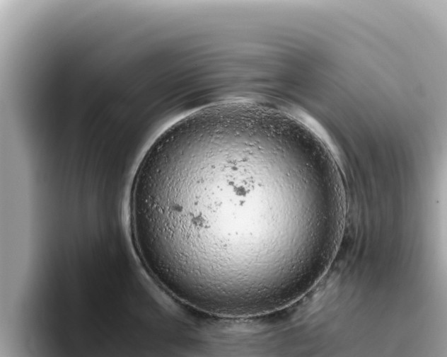 X0000093430811200710191025