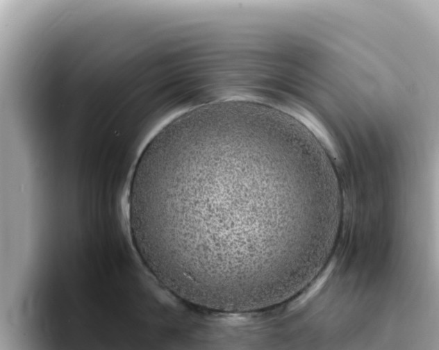 X0000093430814200710191025