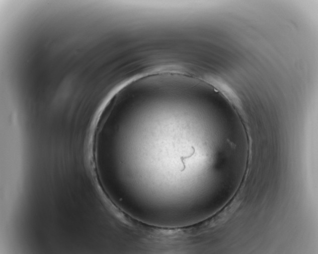 X0000093430816200710191025