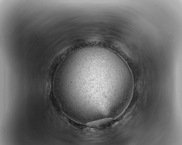 X0000093430821200710191024