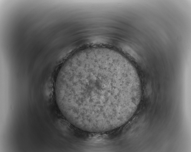 X0000093430824200710191024