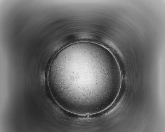 X0000093430825200710191024